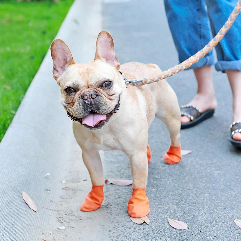 Dog Shoes Waterproof & Non-Slip Rubber Sole