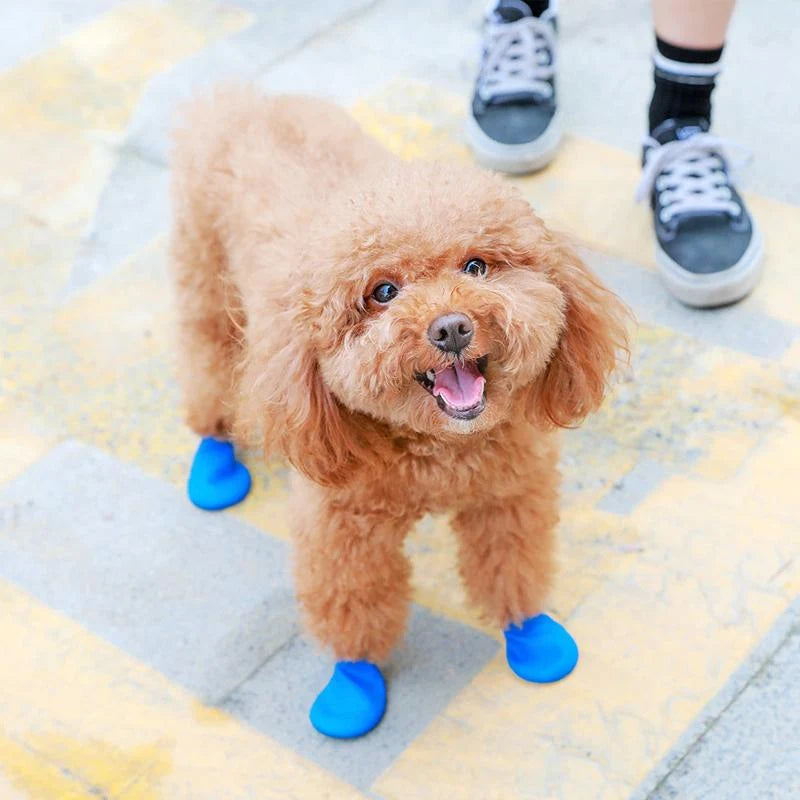 Dog Shoes Waterproof & Non-Slip Rubber Sole