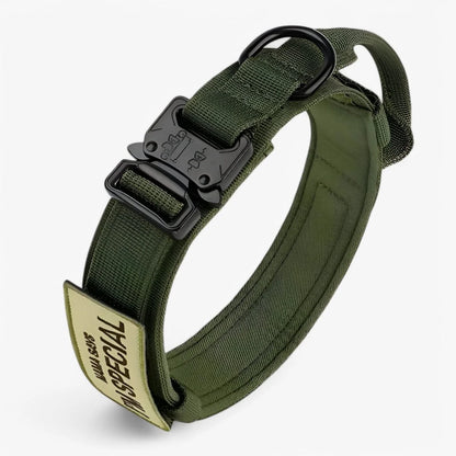 Dog Training Collar Durable Nylon Soft Lining Integrated Handle