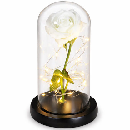 Eternal Rose Under Glass Dome Preserved LED Lighting