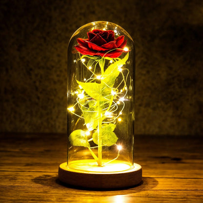 Eternal Rose Under Glass Dome Preserved LED Lighting