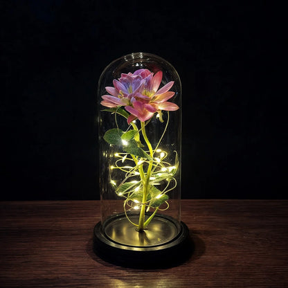 Eternal Rose Under Glass Dome Preserved LED Lighting