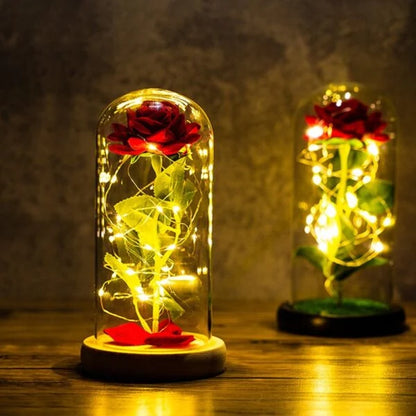 Eternal Rose Under Glass Dome Preserved LED Lighting