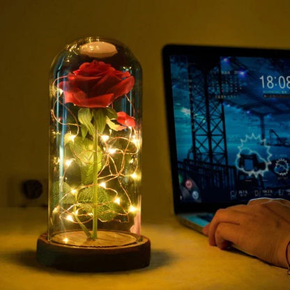 Eternal Rose Under Glass Dome Preserved LED Lighting