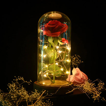 Eternal Rose Under Glass Dome Preserved LED Lighting