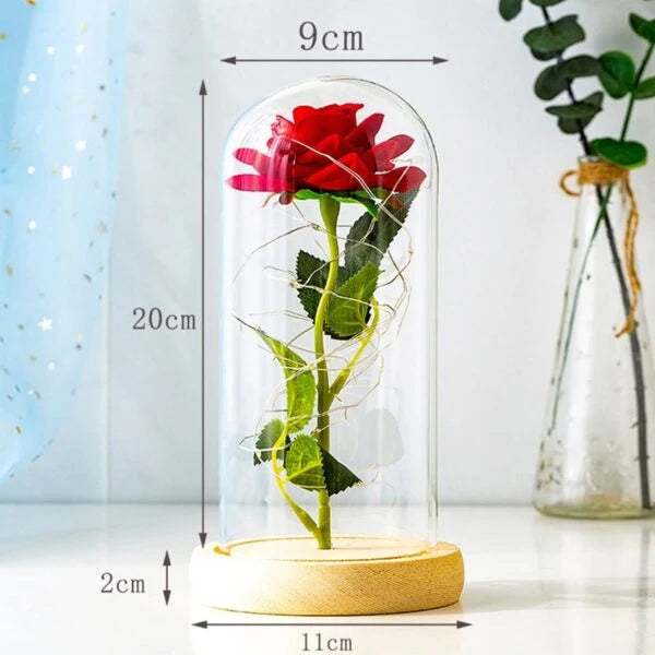 Eternal Rose Under Glass Dome Preserved LED Lighting