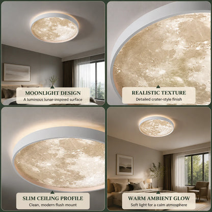 Flush Mount Ceiling Light LED Frosted Acrylic Remote Dimmable