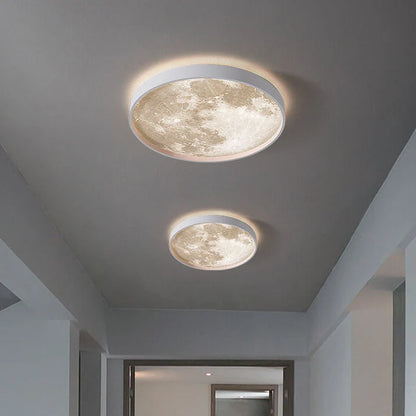 Flush Mount Ceiling Light LED Frosted Acrylic Remote Dimmable