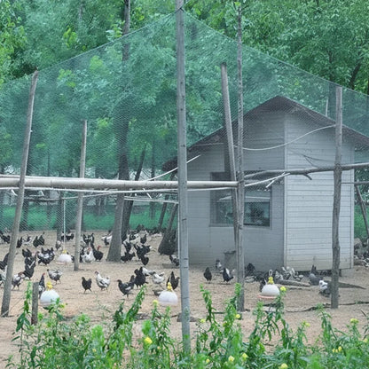Garden Netting UV-Resistant Bird & Deer Protection