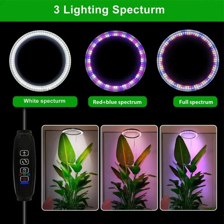 Grow Light Full-Spectrum LED Adjustable Height Preset Timer