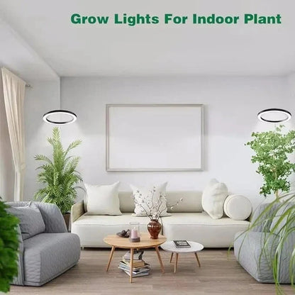 Grow Light Full-Spectrum LED Adjustable Height Preset Timer