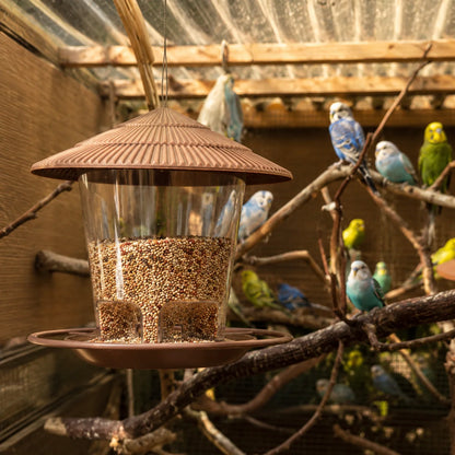 Hanging Bird Feeder Gravity-Fed Corrosion-Resistant Plastic