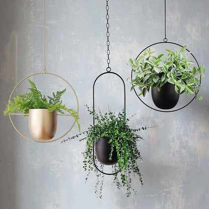 Hanging Plant Holder Halo-Shaped Metal Indoor & Outdoor