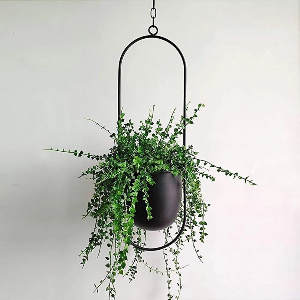 Hanging Plant Holder Halo-Shaped Metal Indoor & Outdoor