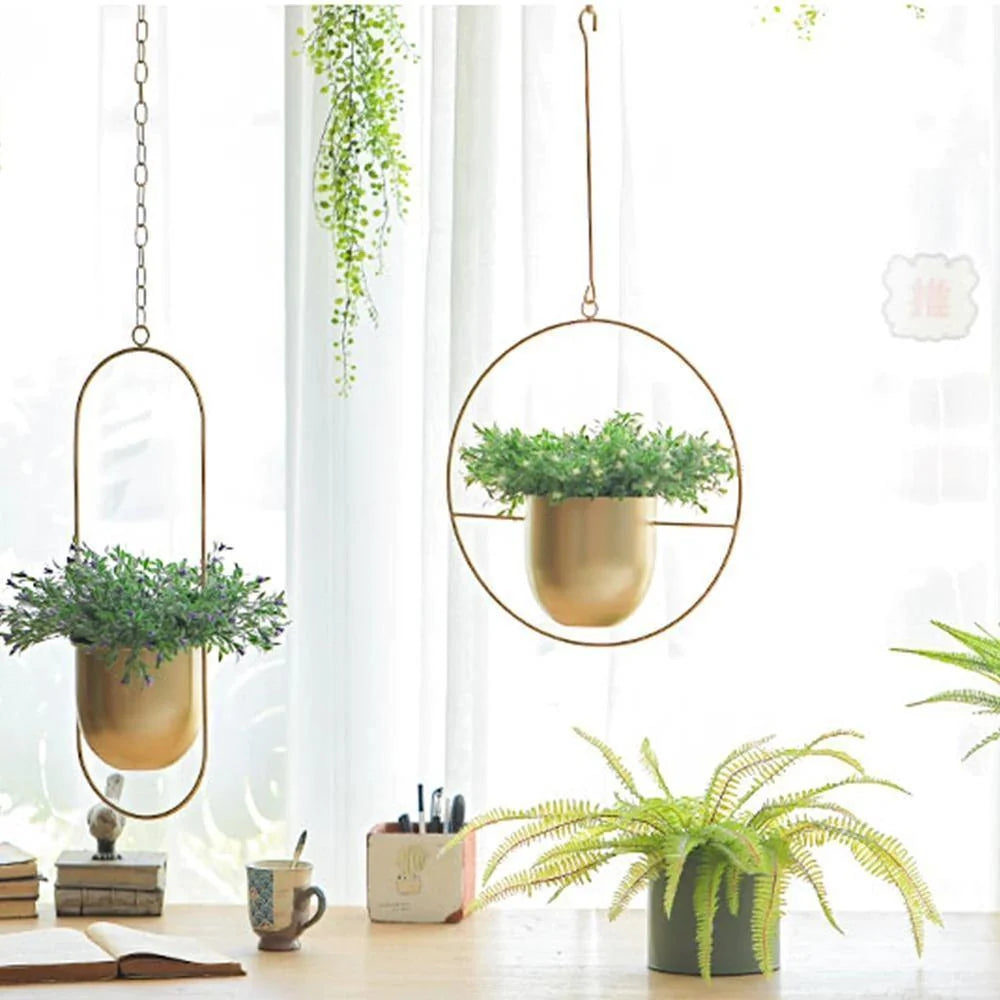 Hanging Plant Holder Halo-Shaped Metal Indoor & Outdoor
