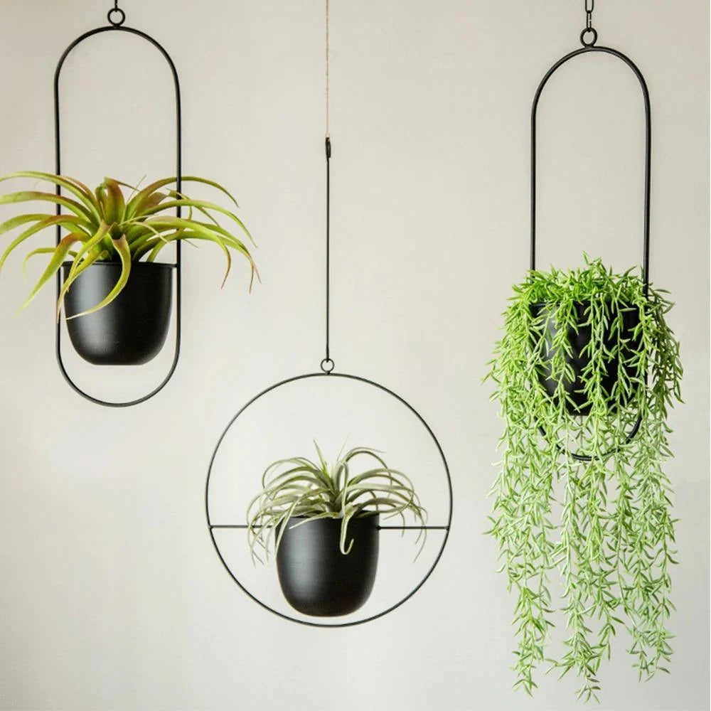 Hanging Plant Holder Halo-Shaped Metal Indoor & Outdoor