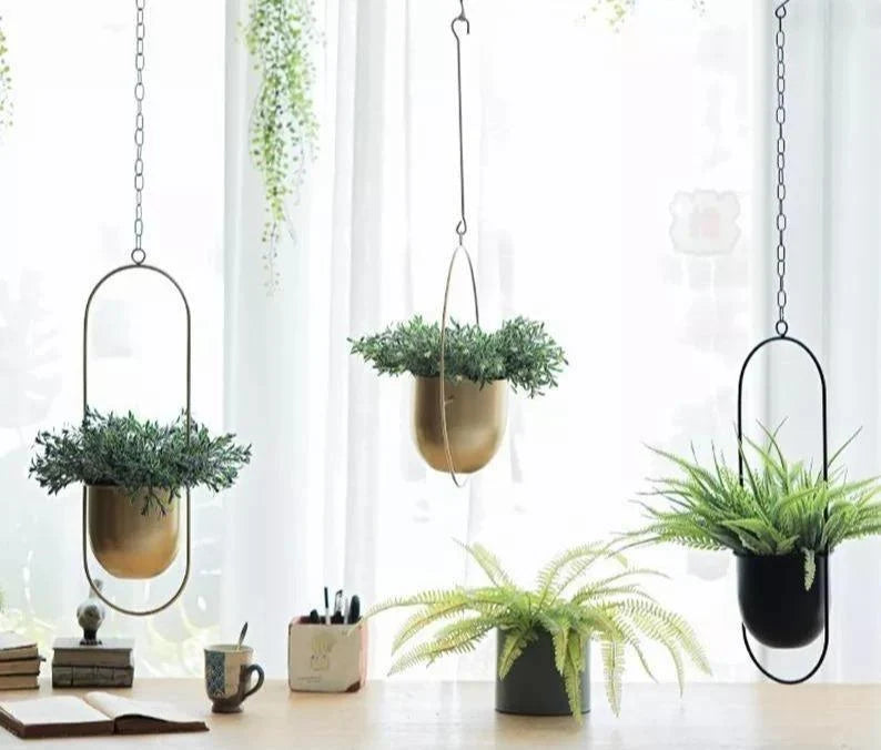 Hanging Plant Holder Halo-Shaped Metal Indoor & Outdoor