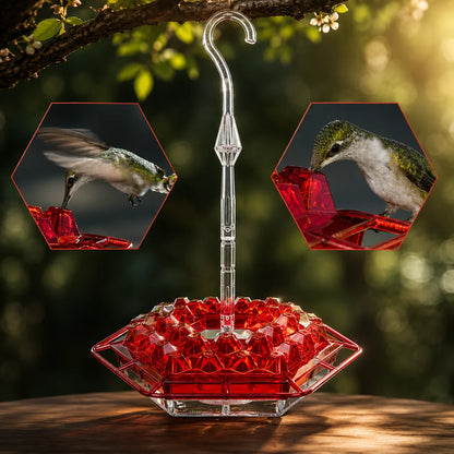 Hummingbird Feeder Ant-Proof Built-In Moat Shatterproof