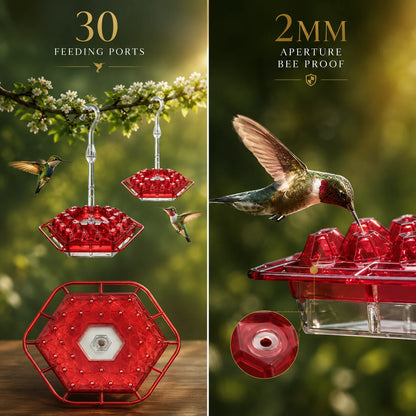 Hummingbird Feeder Ant-Proof Built-In Moat Shatterproof