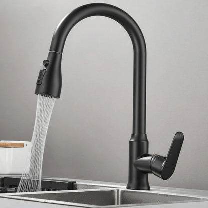 Kitchen Faucet Pull-Out Spray Head 360° Swivel Design