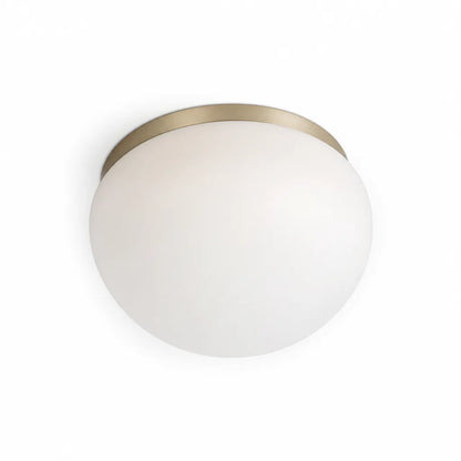 Modern Minimal Energy-Efficient Globe LED Ceiling Light