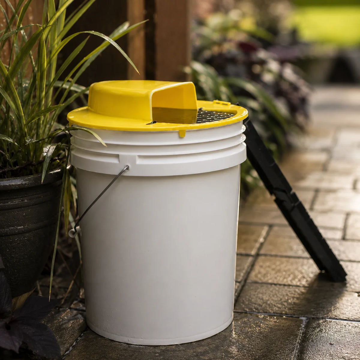 Mouse Trap Auto-Reset Humane Live-Catch Fits 5-Gallon Bucket