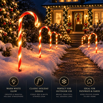 Pathway Lights Solar-Powered Dusk-to-Dawn Set of 12