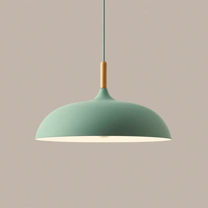 Pendant Light Soft Pastel Finish Wood Collar Adjustable Cord