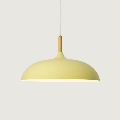 Pendant Light Soft Pastel Finish Wood Collar Adjustable Cord