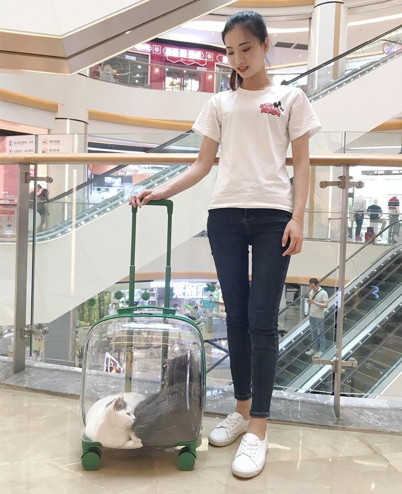 Pet Carrier Transparent Shell Silent 360° Swivel Wheels