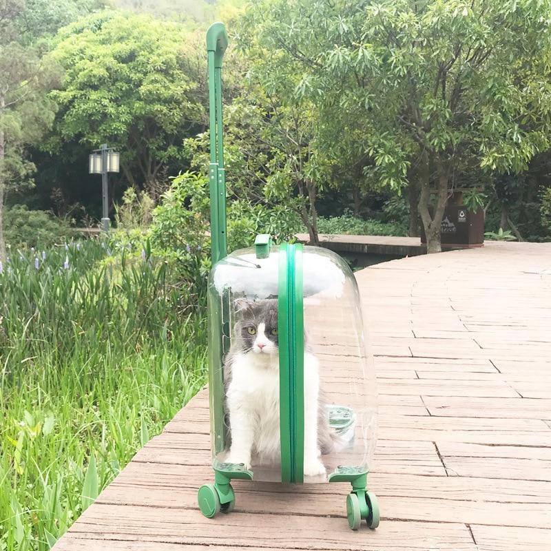 Pet Carrier Transparent Shell Silent 360° Swivel Wheels
