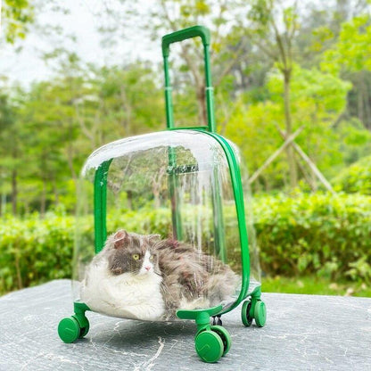 Pet Carrier Transparent Shell Silent 360° Swivel Wheels