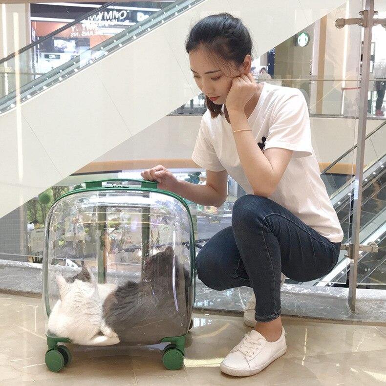 Pet Carrier Transparent Shell Silent 360° Swivel Wheels