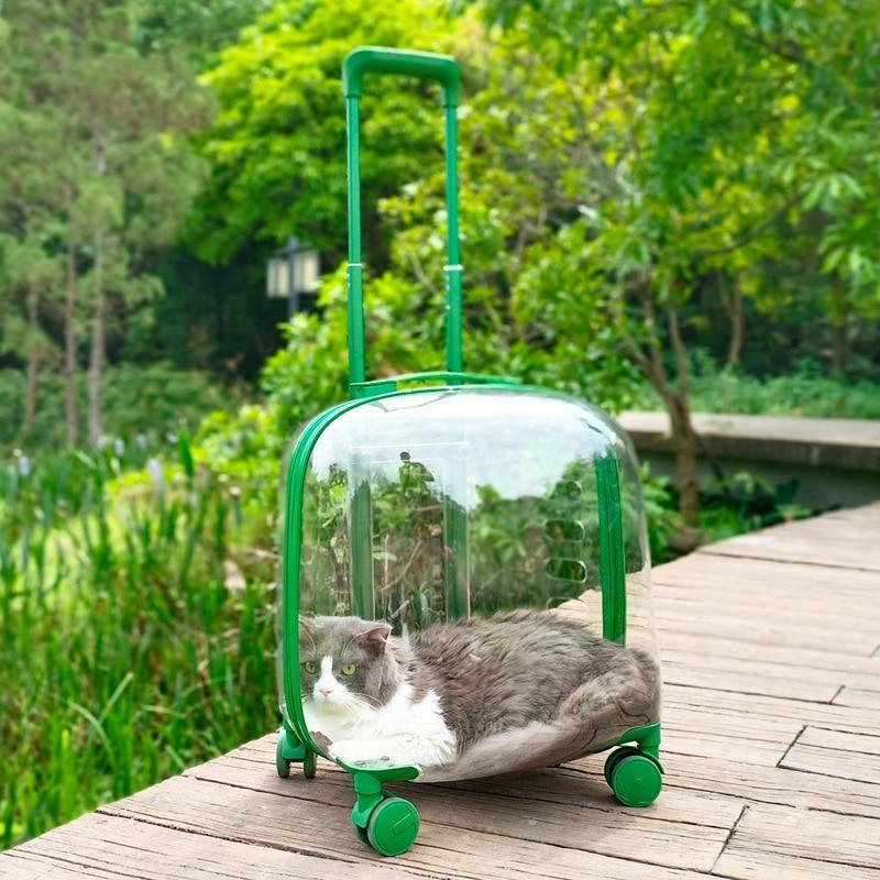 Pet Carrier Transparent Shell Silent 360° Swivel Wheels