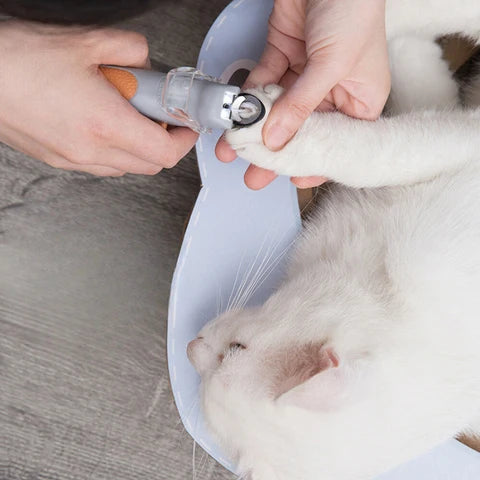 Pet Nail Clipper LED Light Stainless Steel Blades