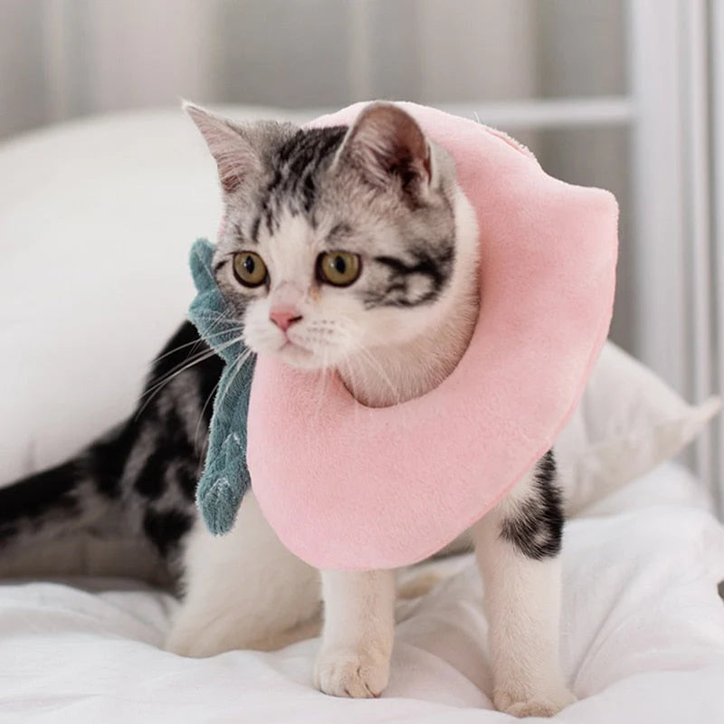 Pet Recovery Collar Soft Cotton Adjustable Washable Fit
