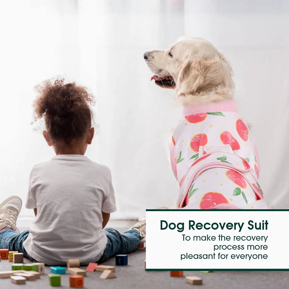 Pet Recovery Shirt Breathable Wound Protection Secure Closures