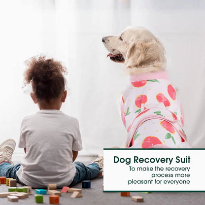 Pet Recovery Shirt Breathable Wound Protection Secure Closures