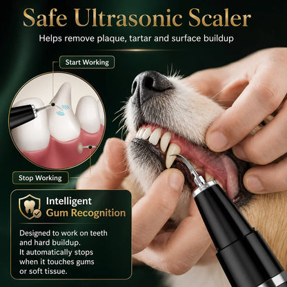 Pet Tartar Remover Ultrasonic Handheld USB Rechargeable