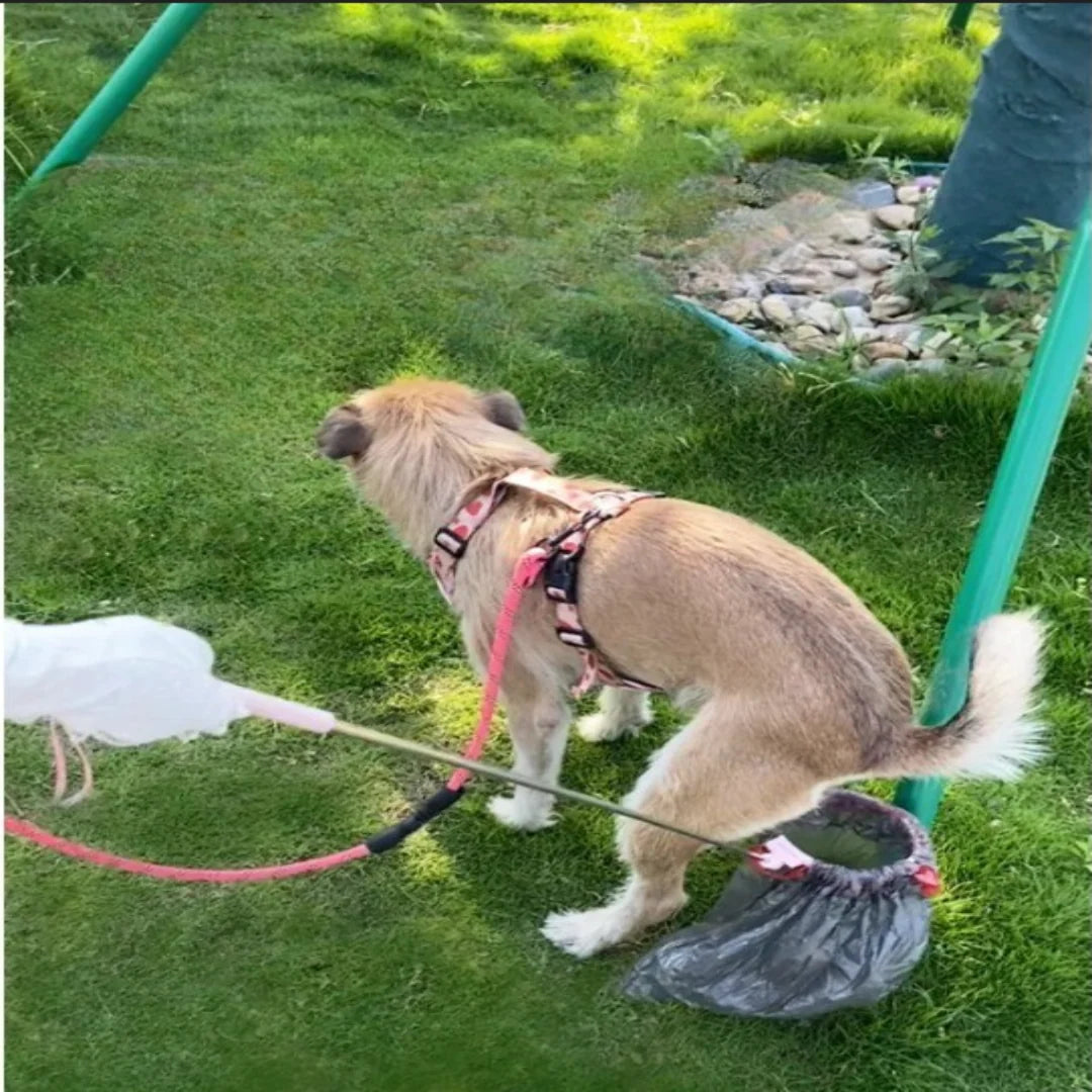 Pet Waste Scooper Telescoping Handle Removable Bin Collapsible Design