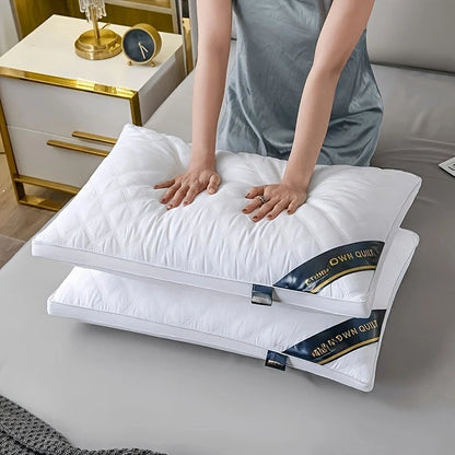 Pillow Set Hypoallergenic 3D Microfiber Set of 2