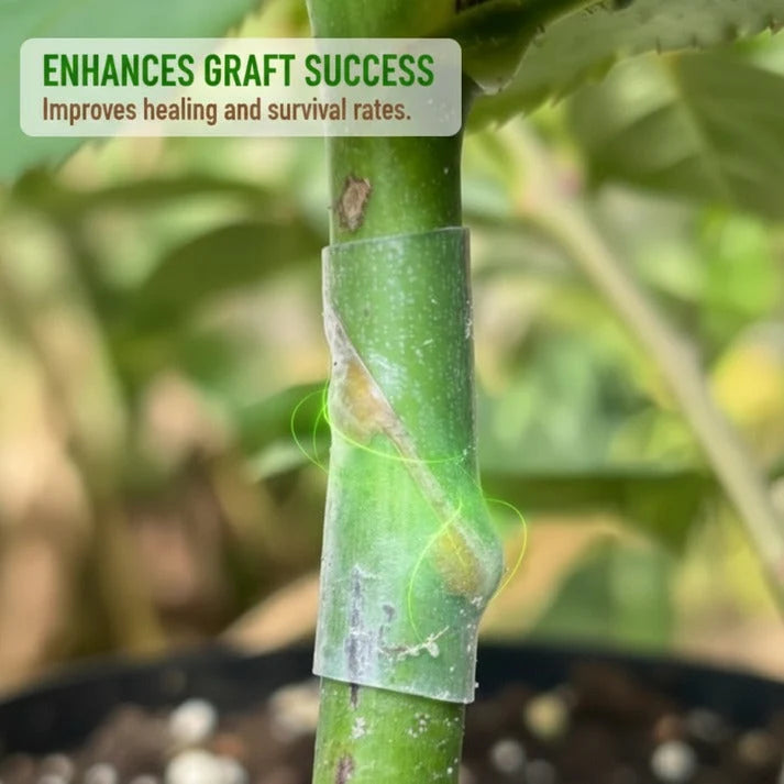 Plant Grafting Sleeves Flexible Silicone Set of 50