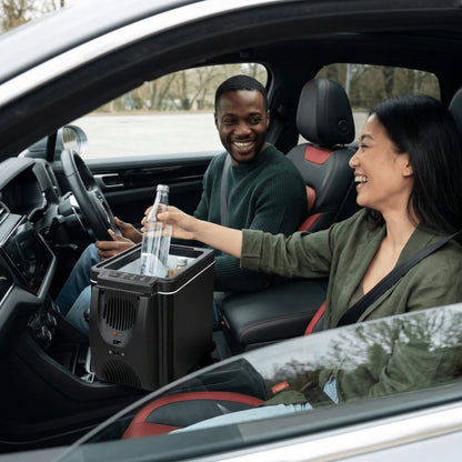 Portable Car Fridge Dual Cooling & Warming 6L Capacity