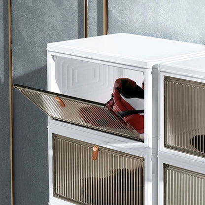 Shoe Rack Transparent Adjustable Compartments