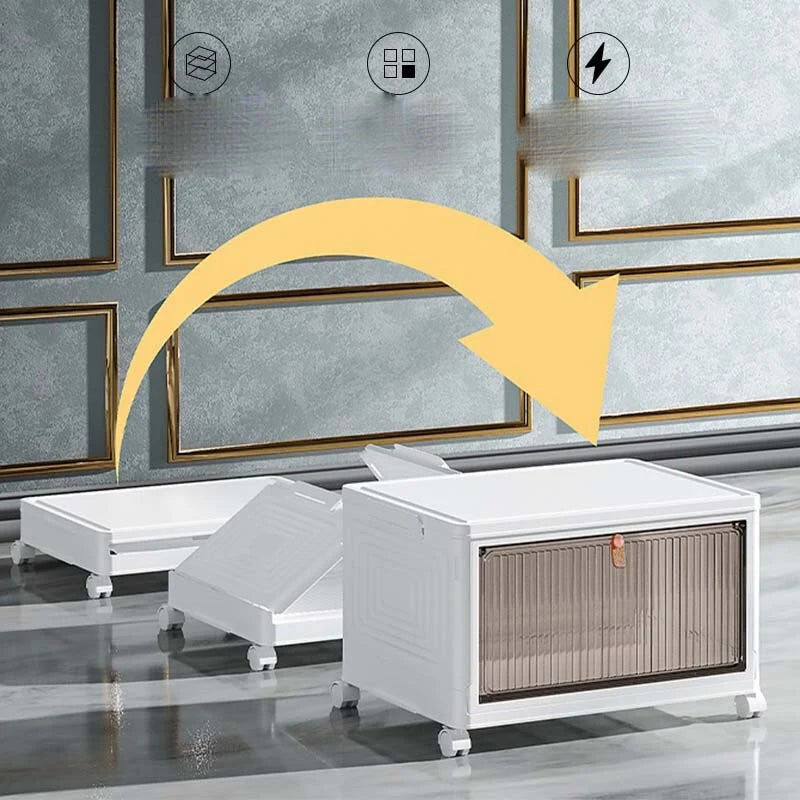 Shoe Rack Transparent Adjustable Compartments