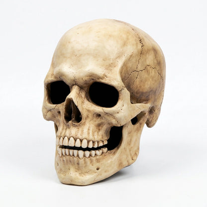 Skull Mask Full-Head Coverage Movable Jaw Soft Latex