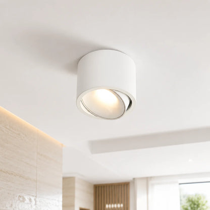 Surface Mount Spot Light Adjustable Swivel Head Integrated LED