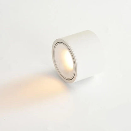 Surface Mount Spot Light Adjustable Swivel Head Integrated LED