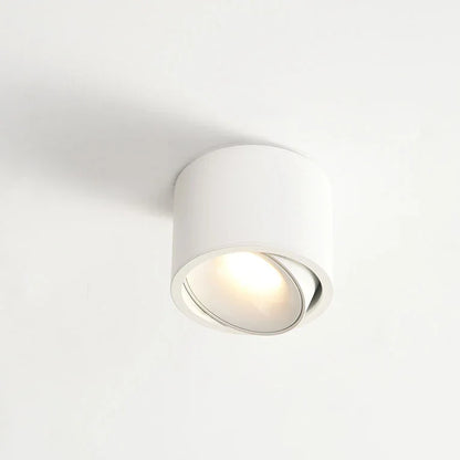 Surface Mount Spot Light Adjustable Swivel Head Integrated LED