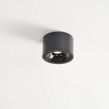 Surface Mount Spot Light Adjustable Swivel Head Integrated LED